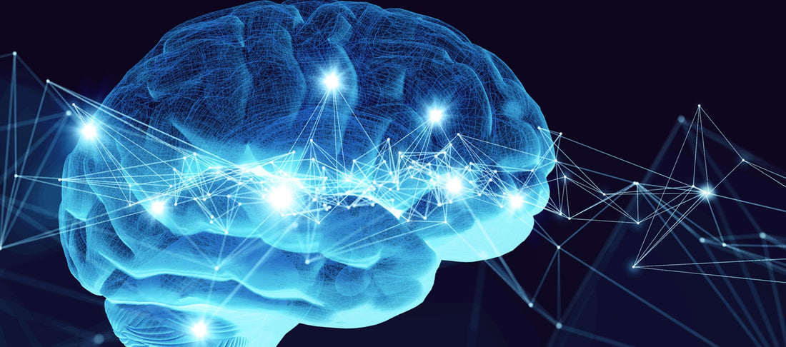 Há riscos em experiências psicodélicas ? Mitos e fatos na Medicina Psicodélica
