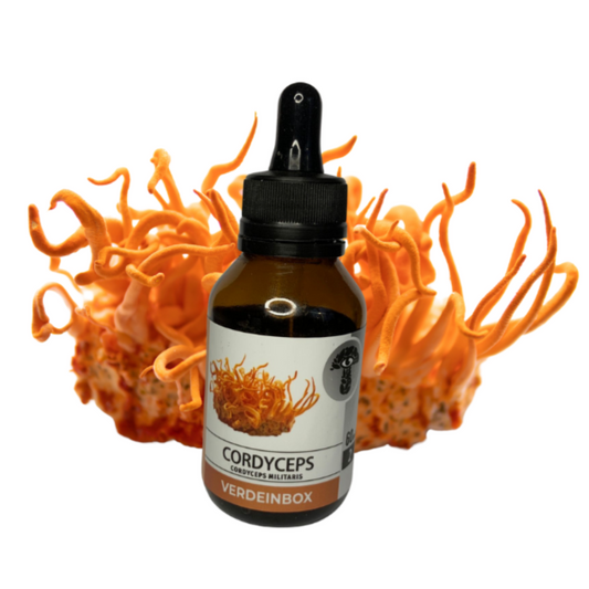 Extrato CORDYCEPS MILITARIS Cogumelo Funcional VerdeInbox 60ml