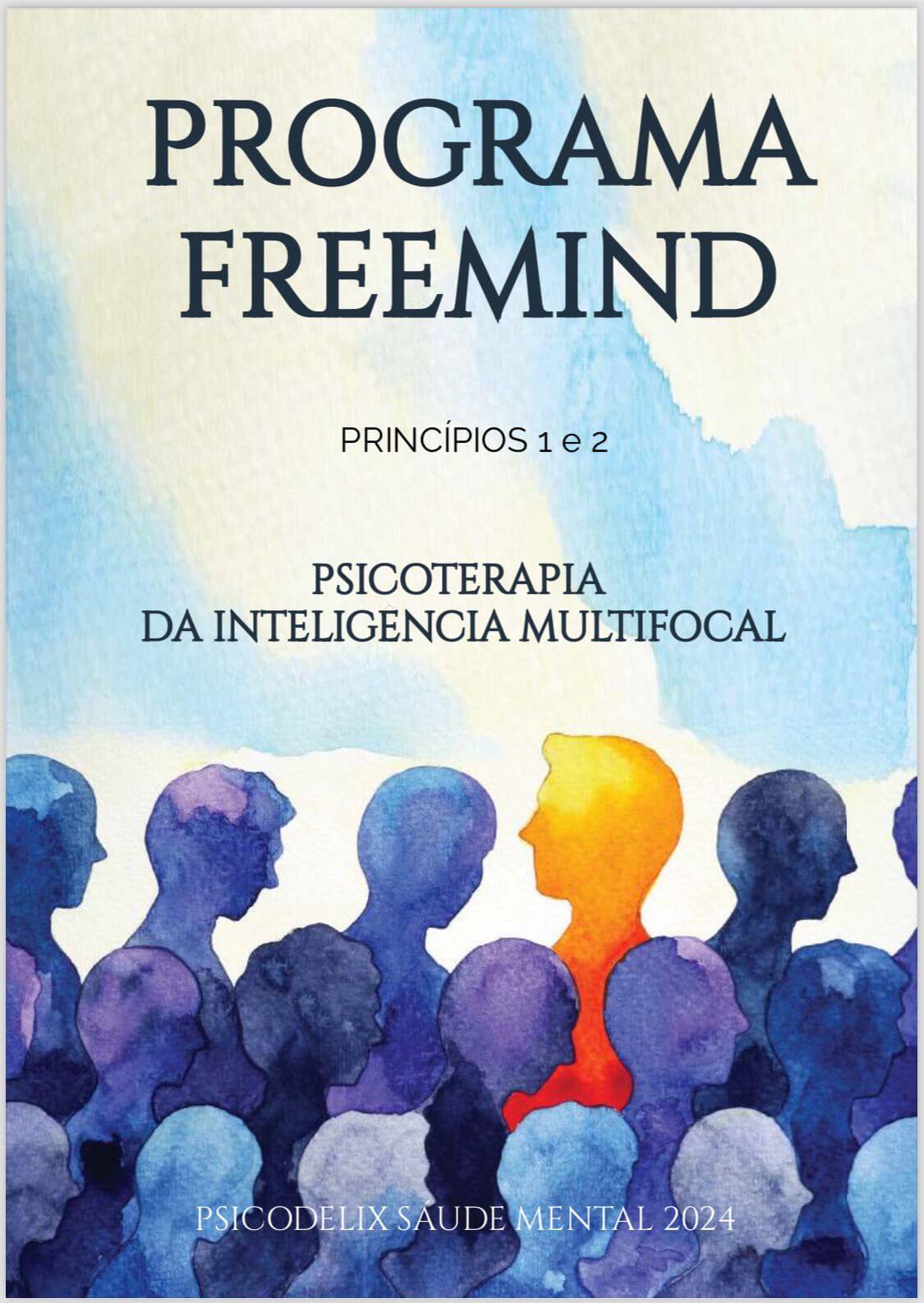 E-BOOKS PROGRAMA FREEMIND Kit 5 unidades