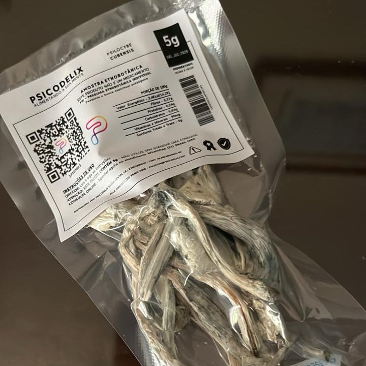Ghost - Psilocybe cubensis | Registro Taxonômico