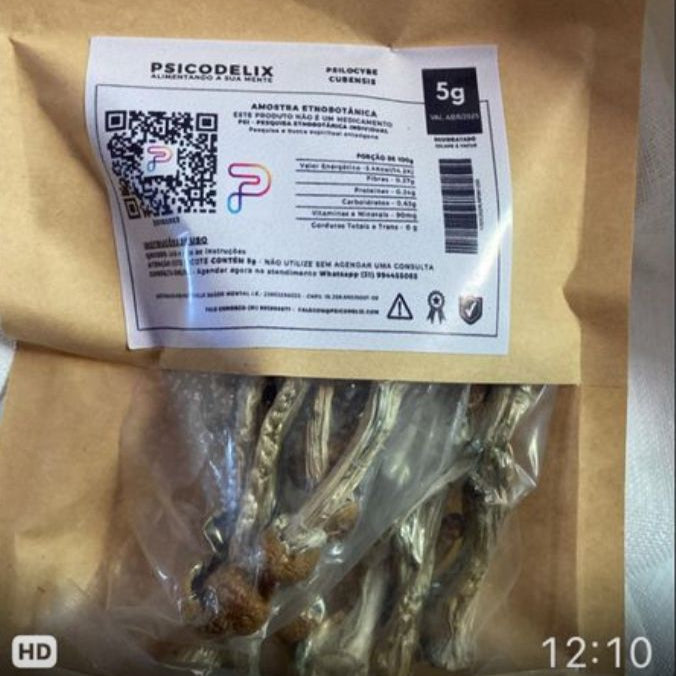 COGUMELO GEPETTO P.Cubensis com PROTOCOLO MED