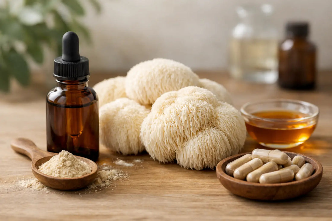 Review Lion’s Mane Extrato: vale a pena?