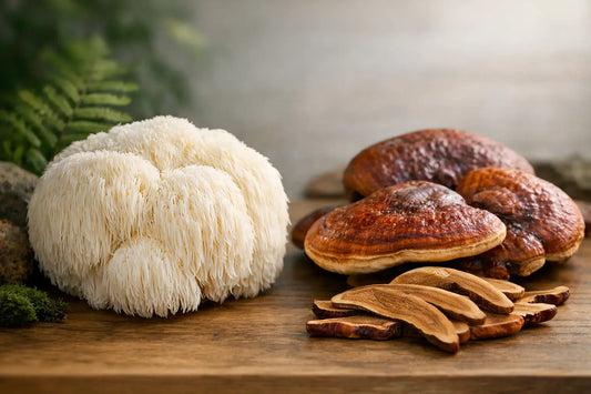 Juba de leão ou reishi: qual faz mais sentido?