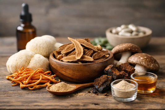 Cogumelos funcionais: para que servem