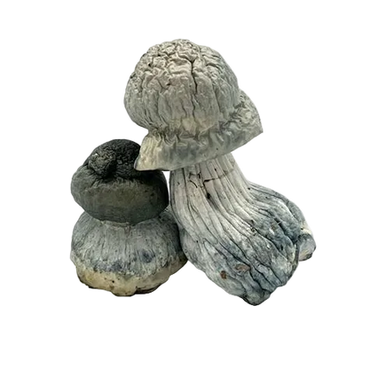 STACK EM PÓ Maskavo, Gepetto e Albino Penis Envy