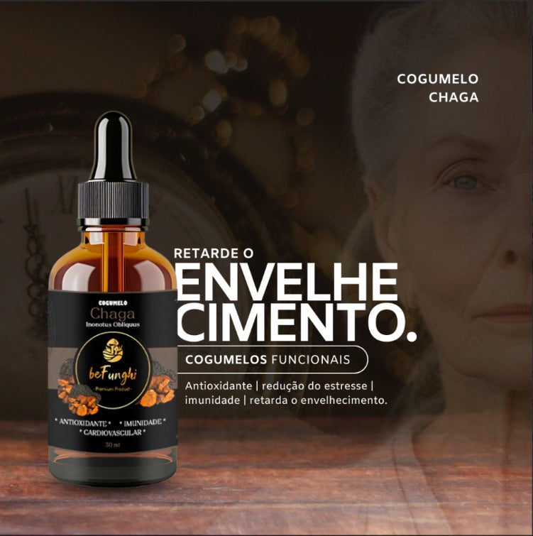 Extrato CHAGA BeFunghi Cogumelo Funcional 30ml