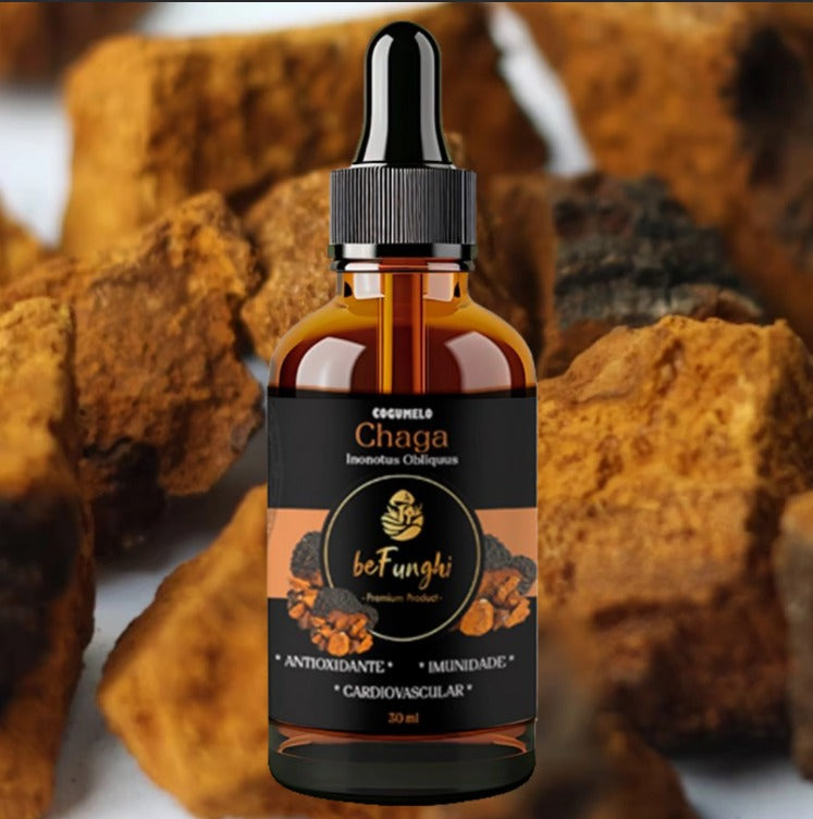 Extrato CHAGA BeFunghi Cogumelo Funcional 30ml