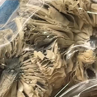 STACK EM PÓ GHOST com Protocolo MED