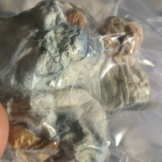 STACK Albino Penis Envy e P07 P.Cubensis com PROTOCOLO MED
