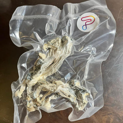 TRUE ALBINO TEACHER com PROTOCOLO MED