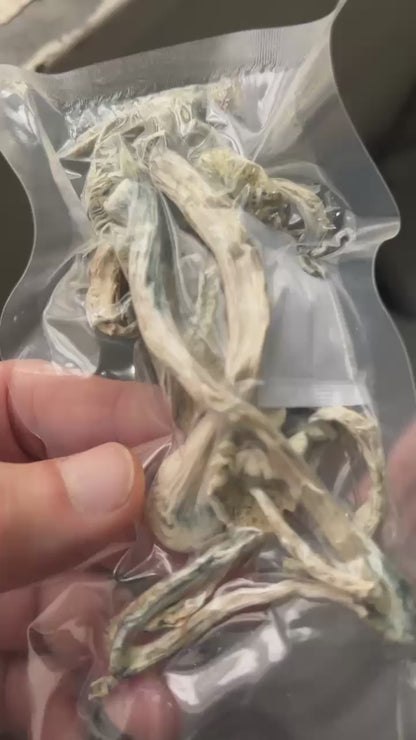 STACK EM PÓ GHOST com Protocolo MED