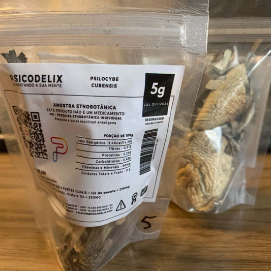 COGUMELO PENIS ENVY Psilocybe Cubensis